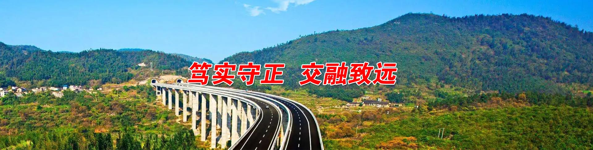 安慶市交通控股集團有限公司